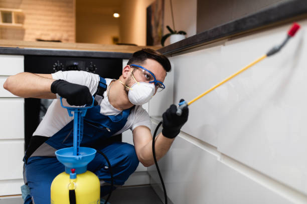 Best Pest Control Treatment  in Cade, LA
