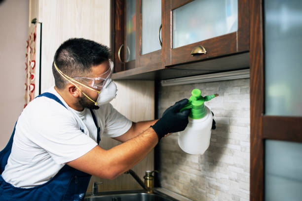 Best Wasp Removal Services  in Cade, LA