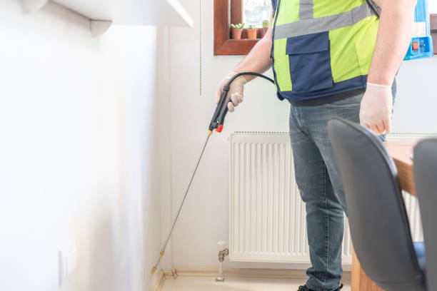 Best Termite Control Services  in Cade, LA