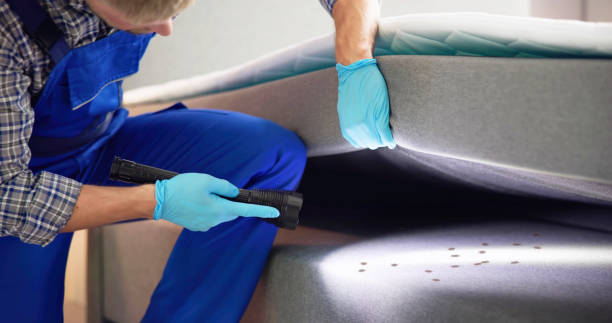 Best Pest Removal Services  in Cade, LA