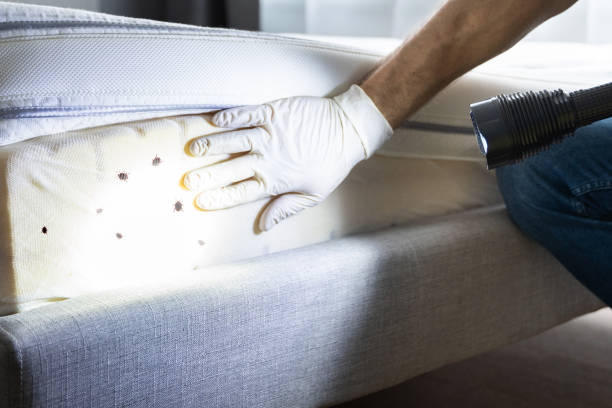 Best Affordable Pest Control Services  in Cade, LA