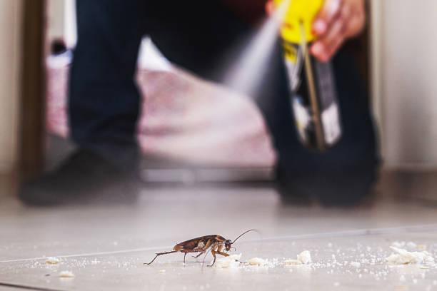 Trusted Cade, LA Pest Control Experts