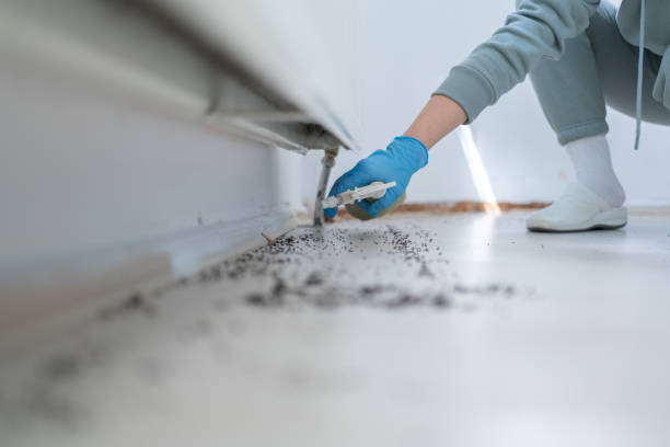 Wildlife Control Services in Cade, LA