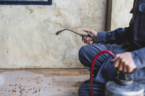 Best Flea Control Services  in Cade, LA